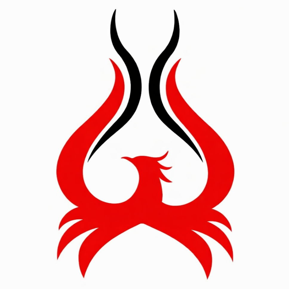 Phoenix Electrical DMV